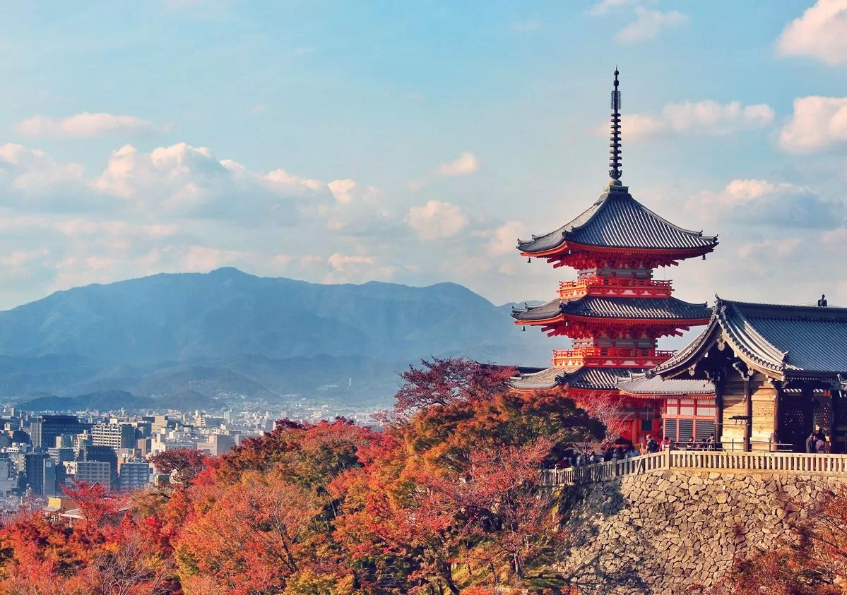 ８天６晚 日本魅力之恋 焦点本州の旅 日本华丽追轻松之旅  (2026)